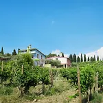 Conte Francesco I-2 By Interhome 公寓 切塔尔多